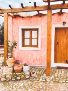 pexels ｌａｒａ 3741133