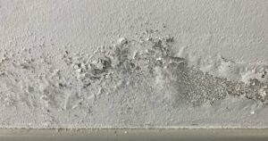 TERZAKIS FACEBOOK (31)